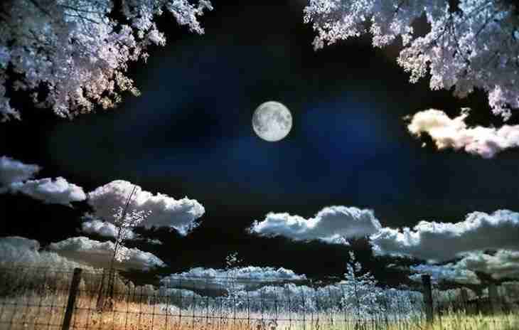 南阳职业学院校花田知夏