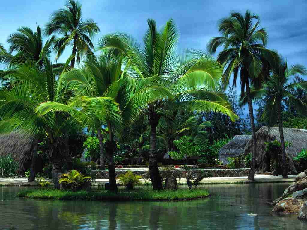 安顺学院校花苏清禾