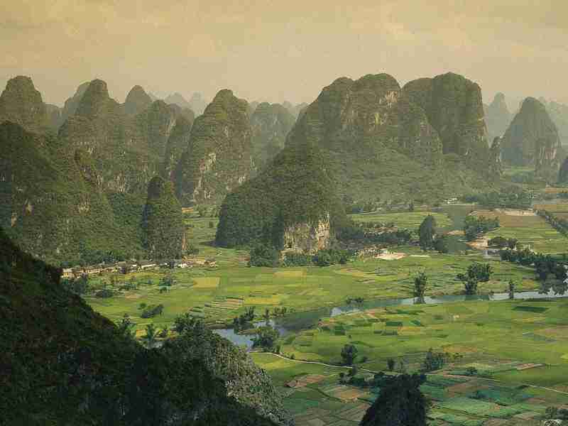 湖北轻工职业技术学院校花殷清欢