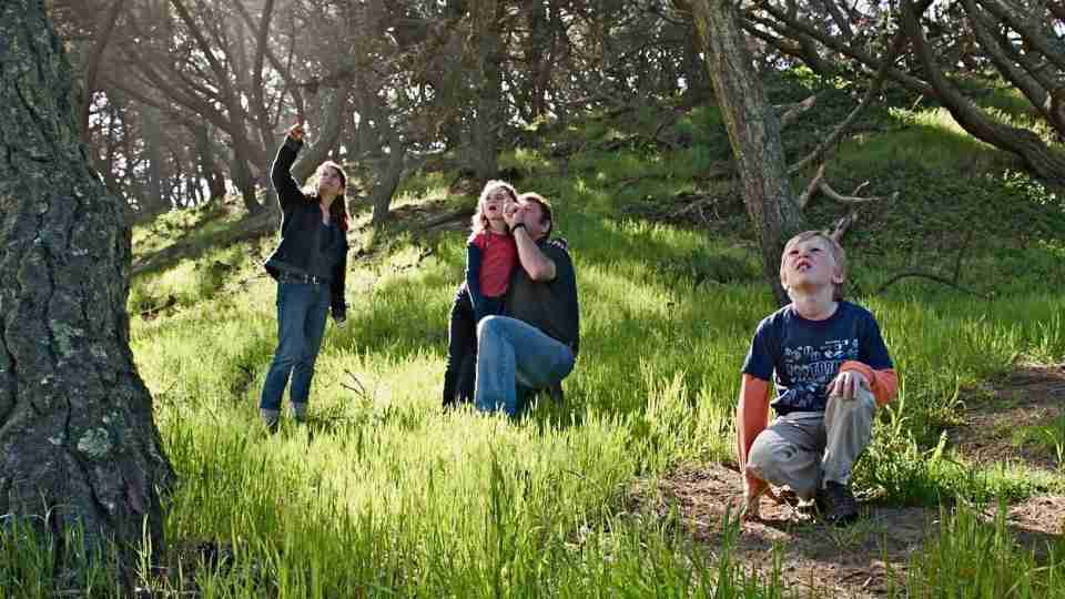 江苏经贸职业技术学院校花晏星落